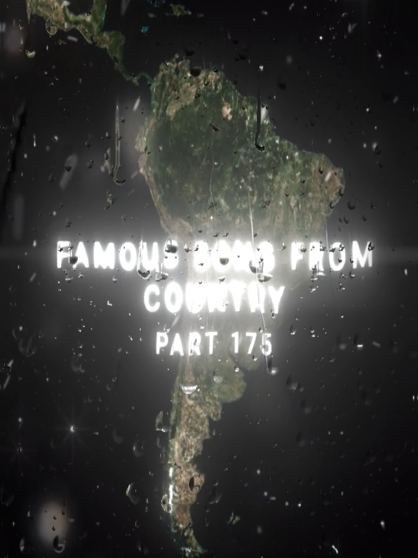 @𝐏𝐚𝐮𝐥 𝐂𝐨𝐧𝐞𝐥𝐢𝐮𝐬