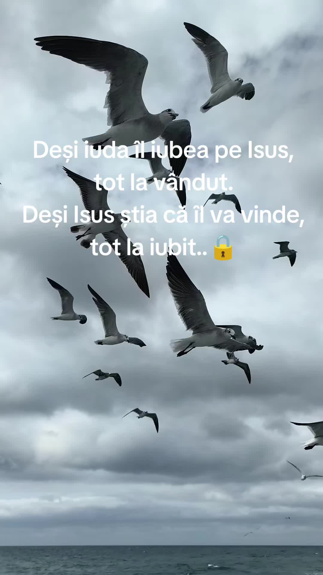 @Dumitru Runcan