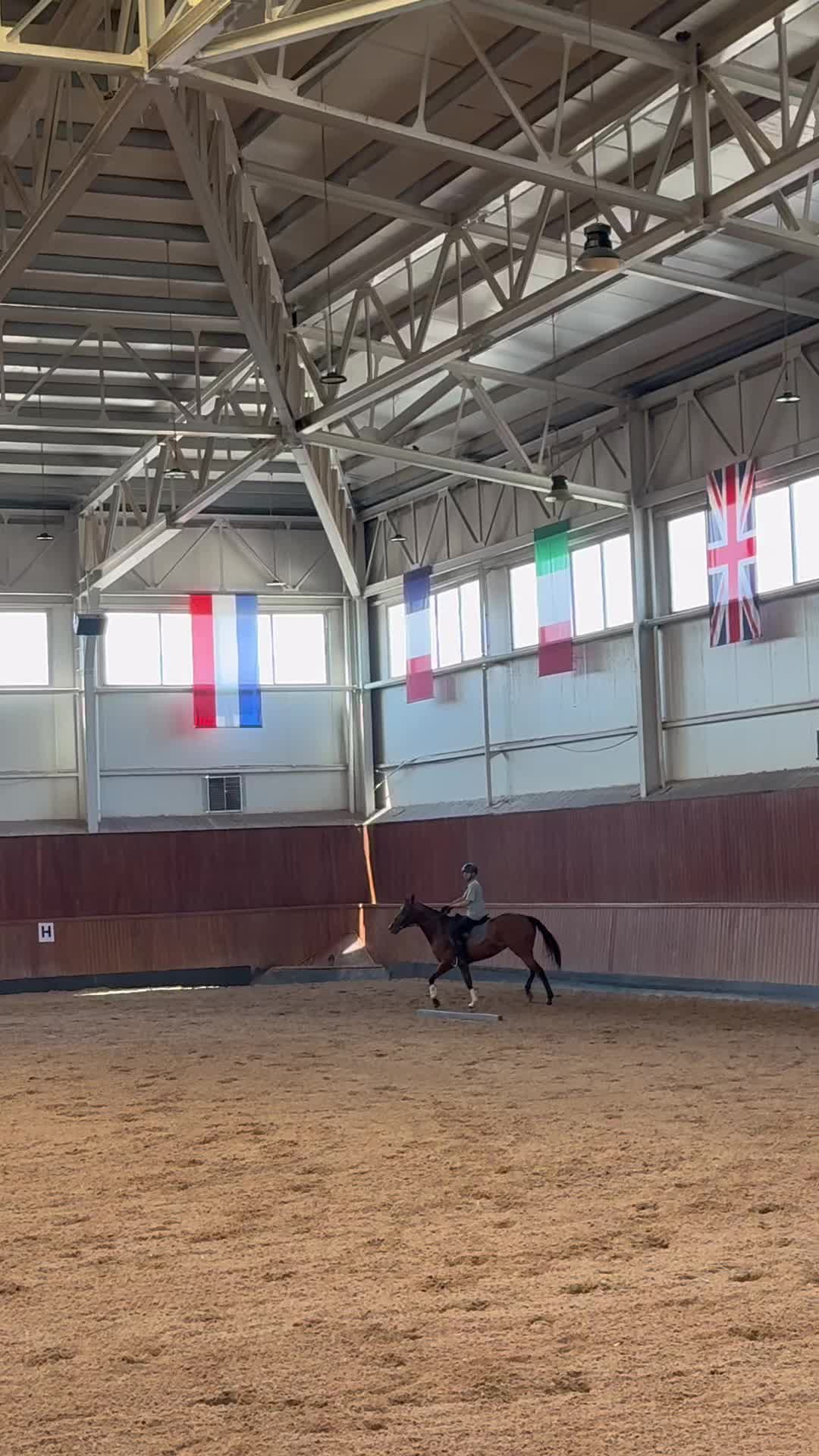 @حە مە🐎🫀