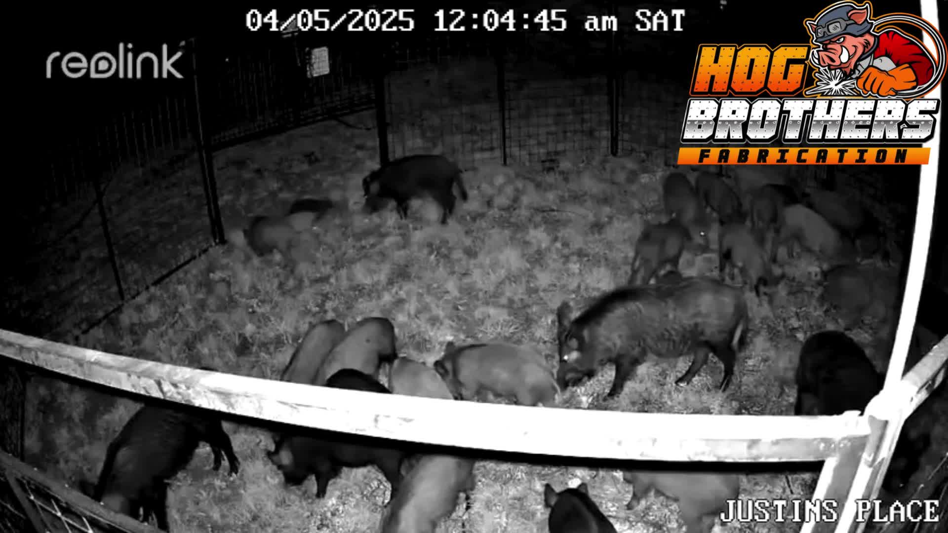 @Hog Brothers Custom Hog Traps