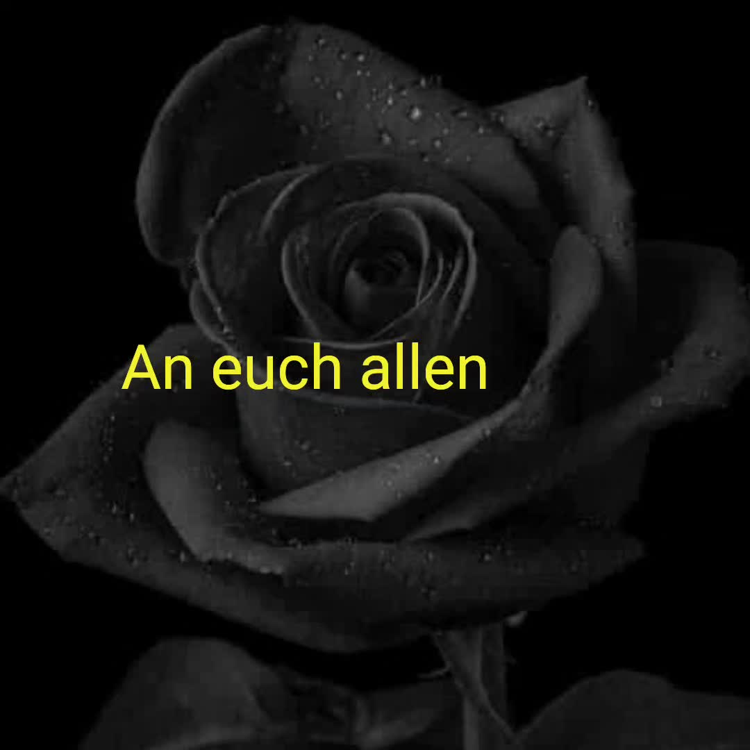 @Mcennedy25