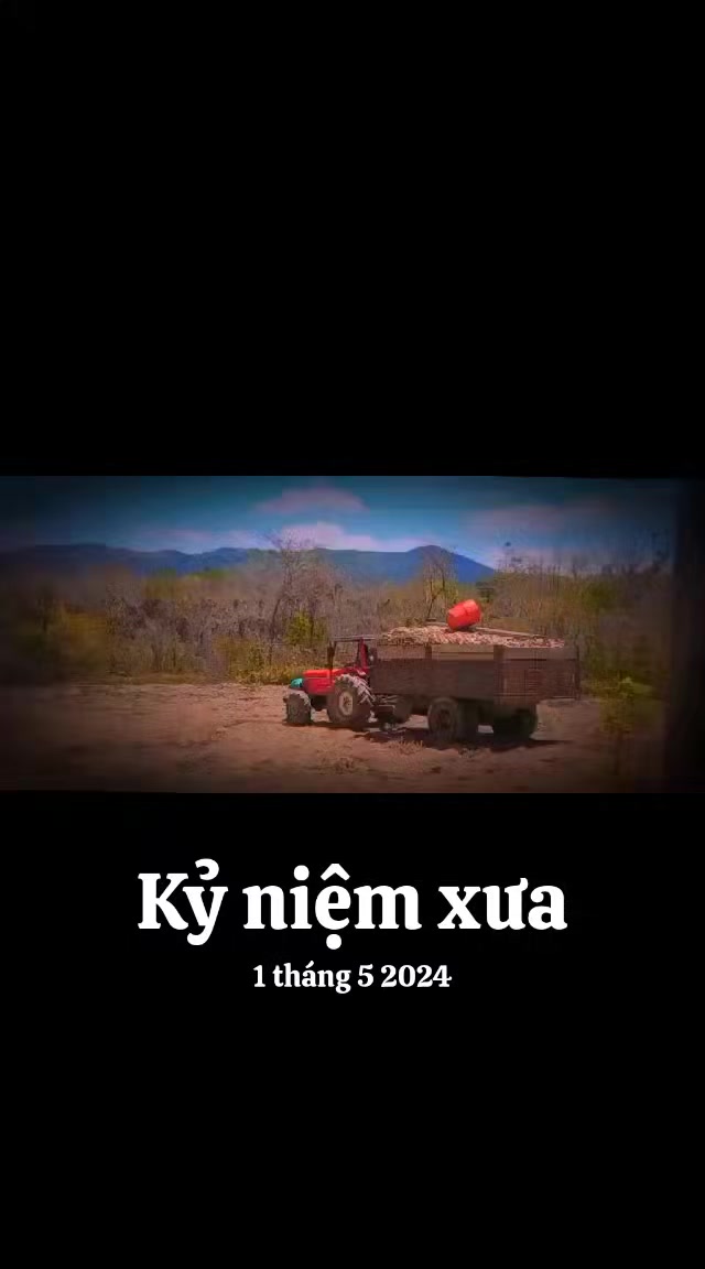 @@Ama &yacute;