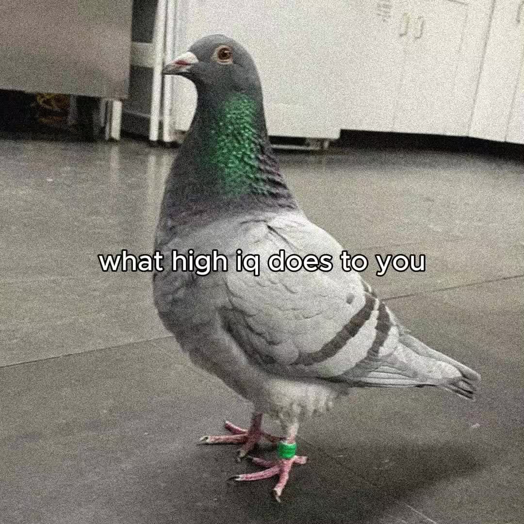 @academic comeback