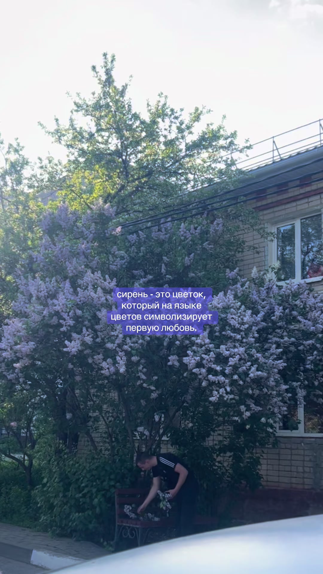 @Колпачок🎀