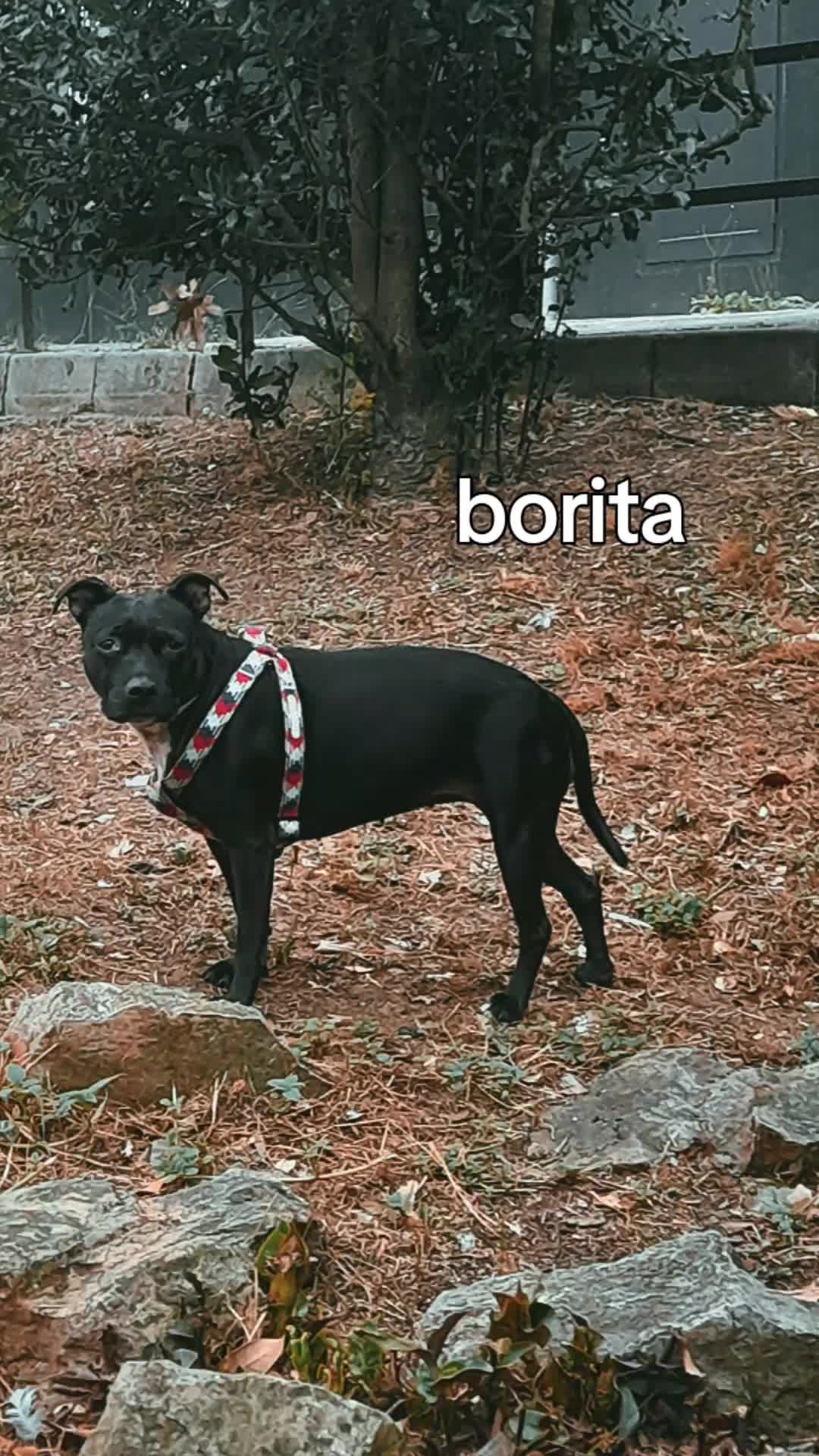 @mari