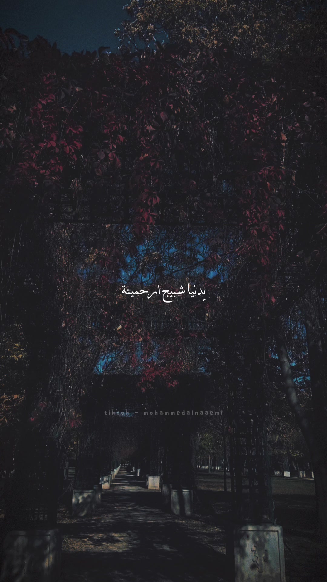@Mohammed ALnuaimi