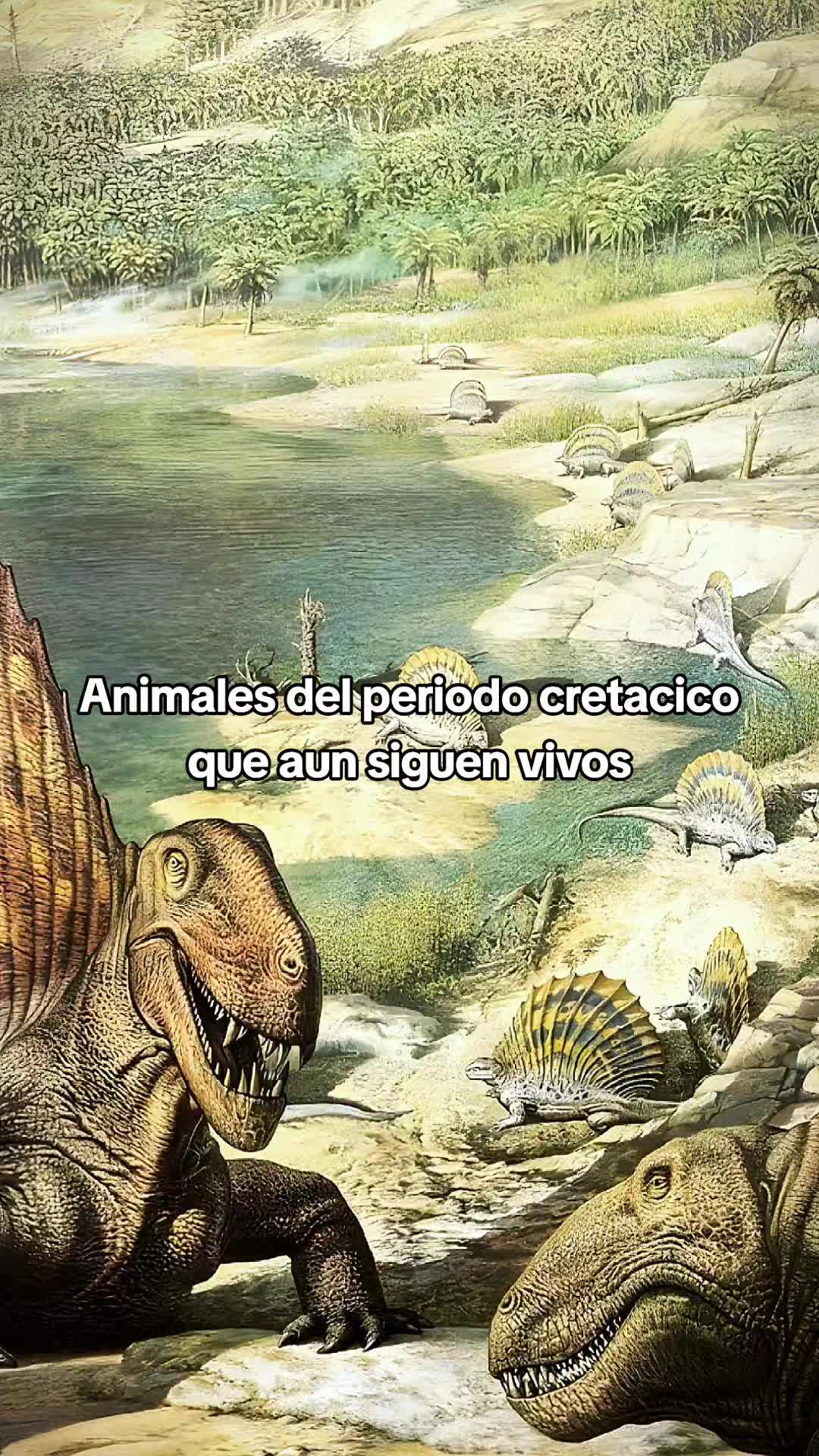 @Viva Historia
