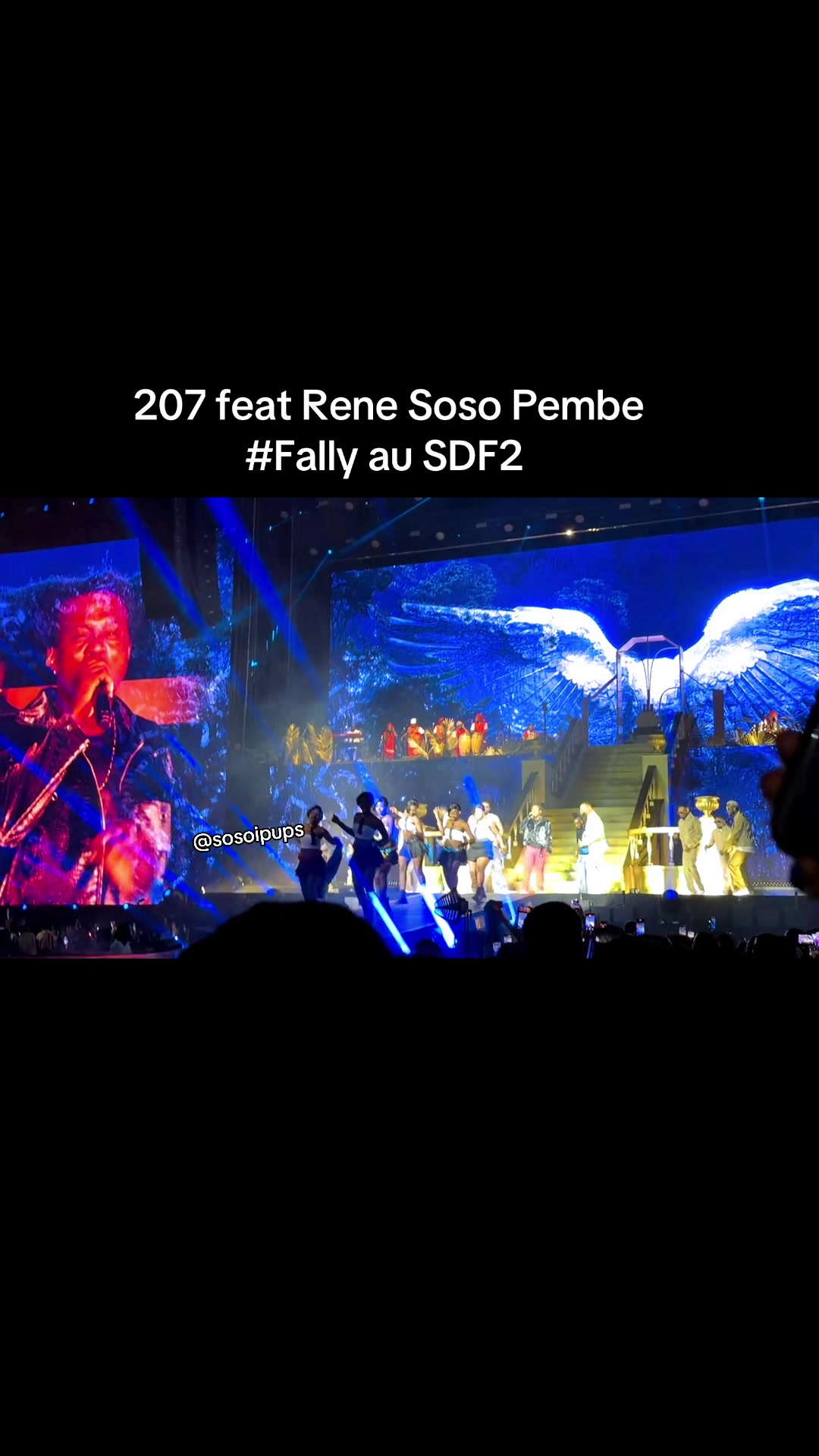 @Soso Ipups Ruth Sorel🍀