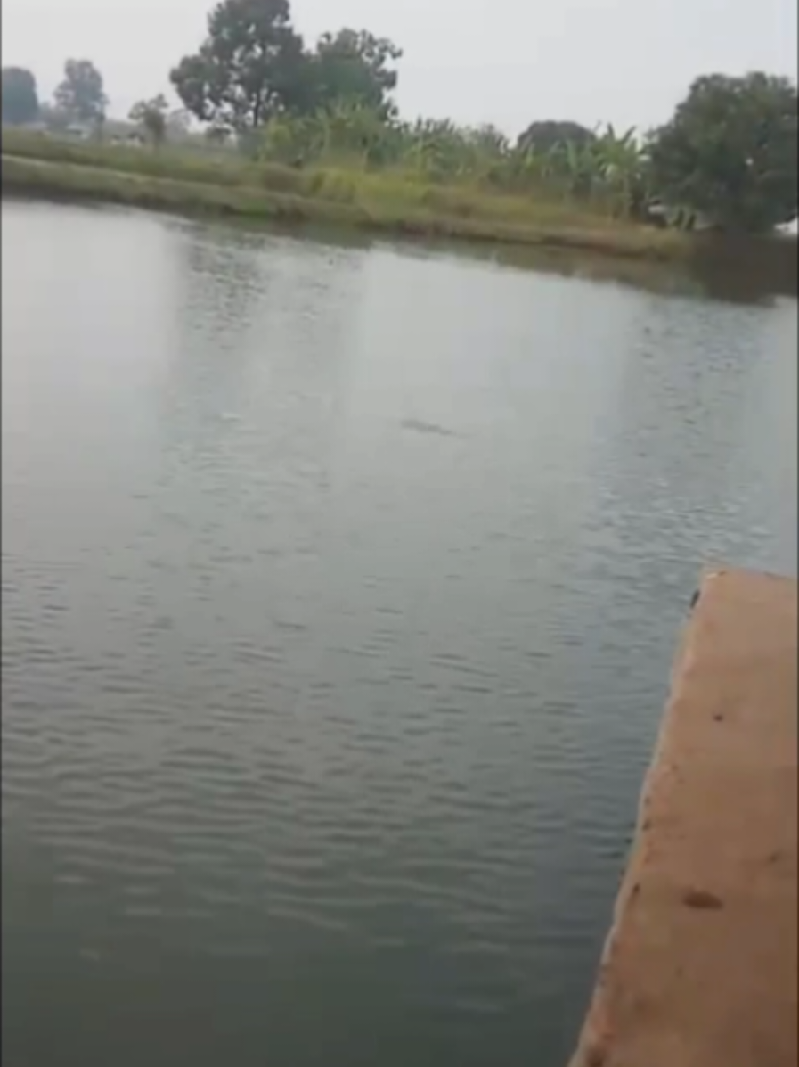 @erdin mancing