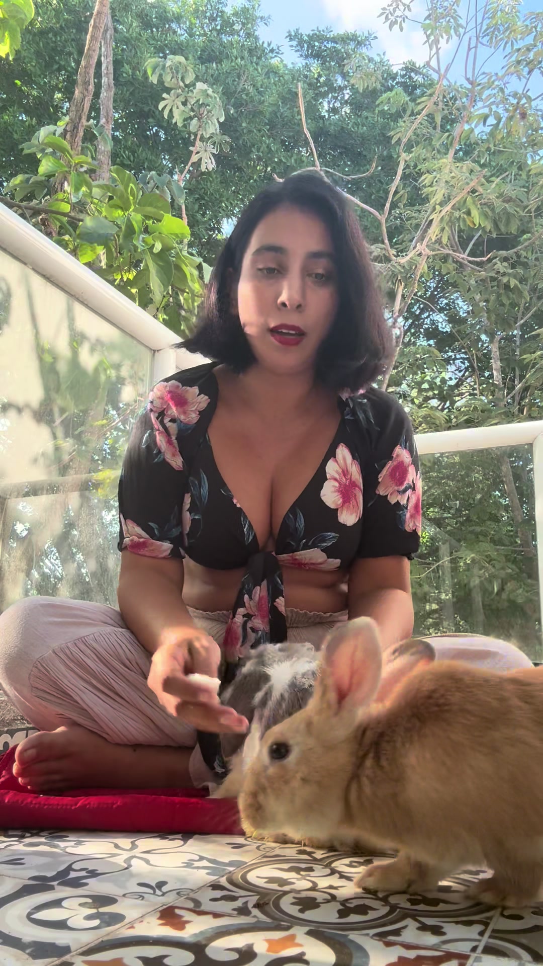 @Mi sueño caribeño