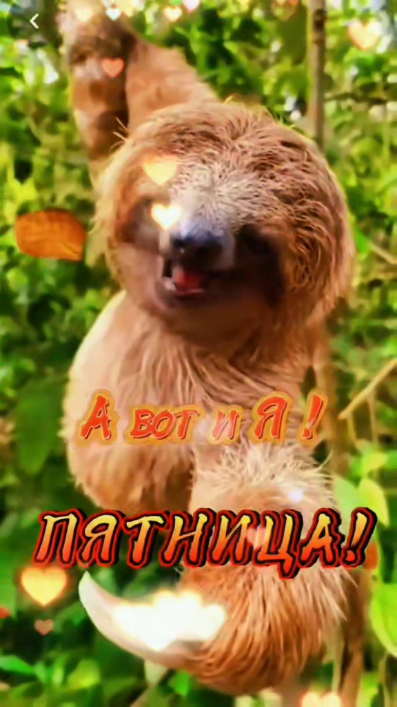 @Слава Добрый Вечер🤪😜🤪