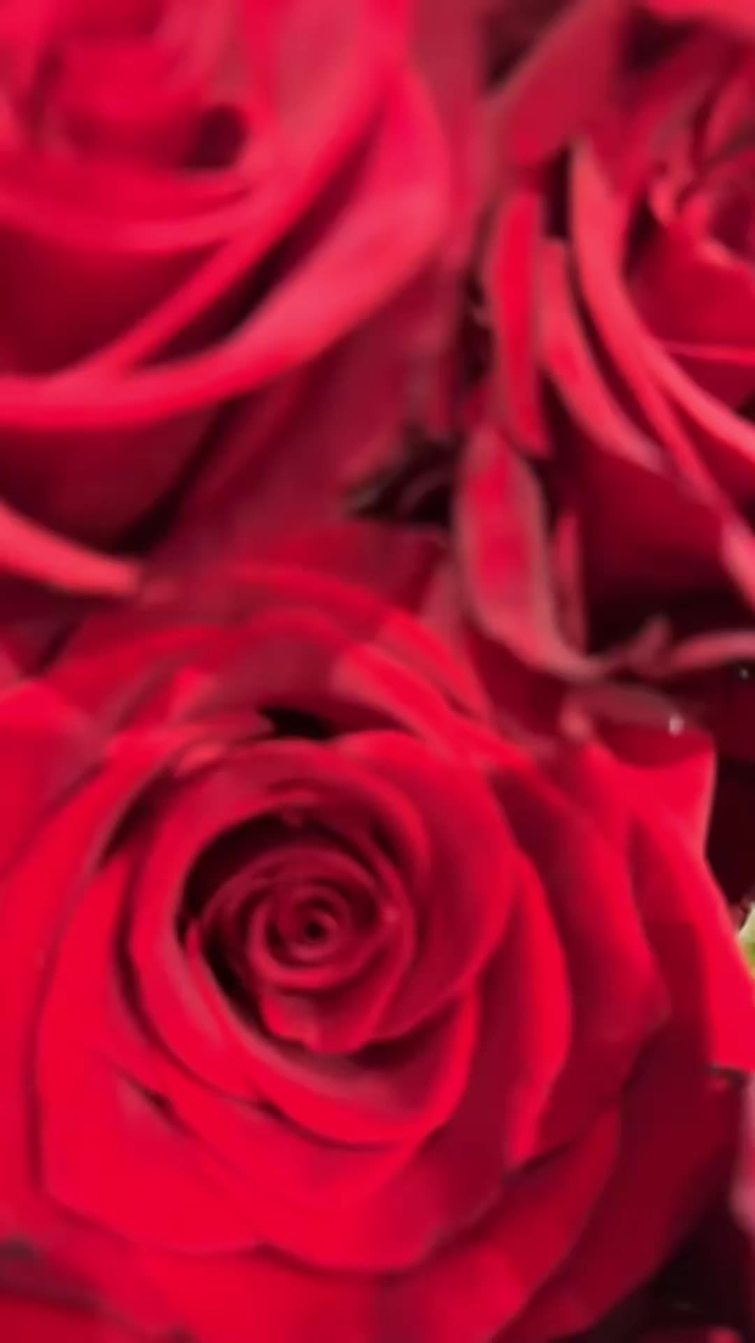@WhitneyWingate🍓