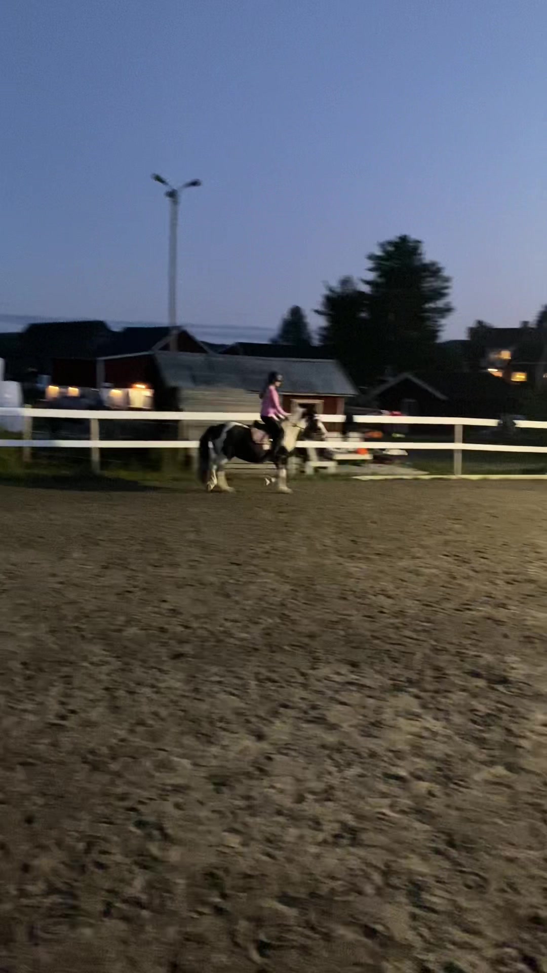 @kerstin🐴