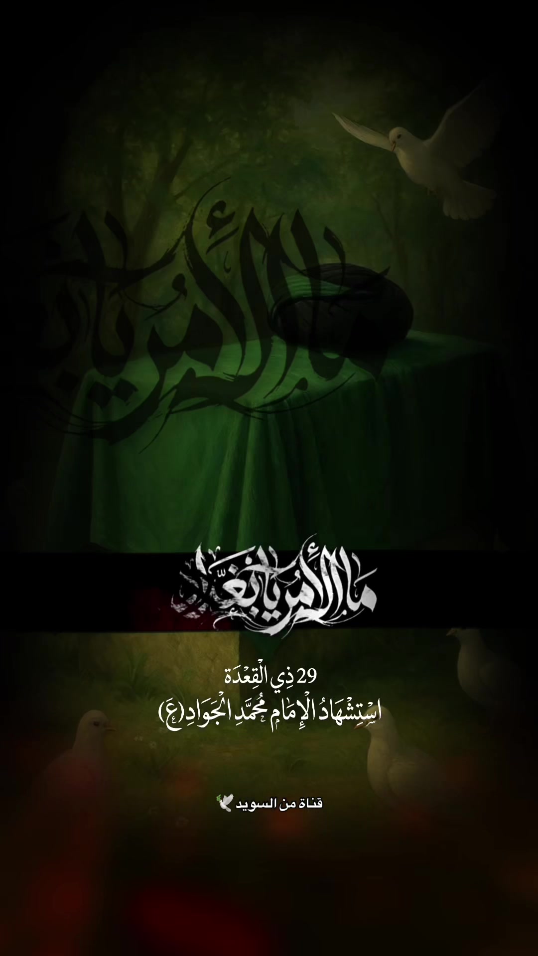 @Sayed Hassan.