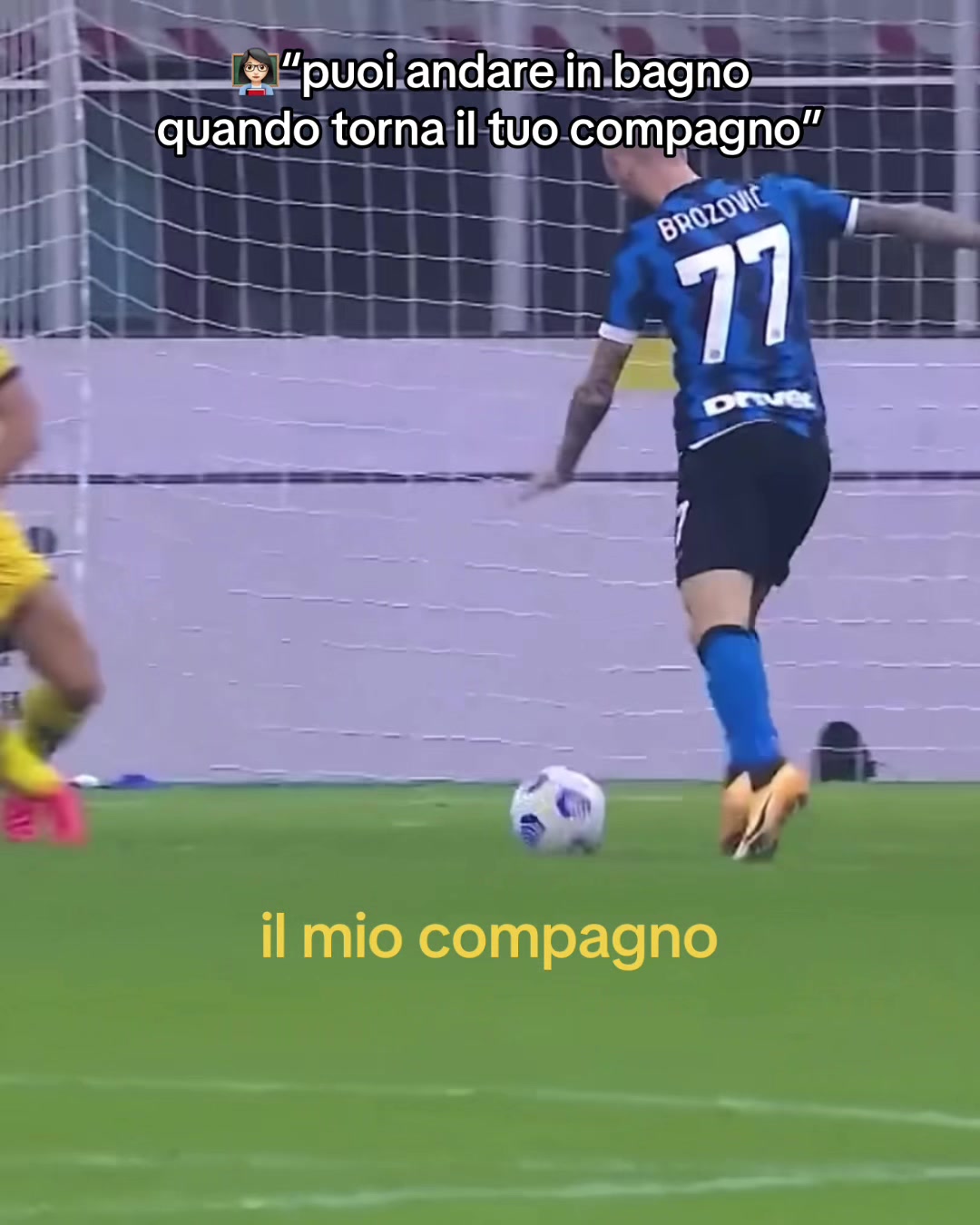 @fcim.luca