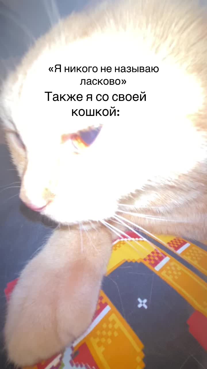 @#элиночка!💞