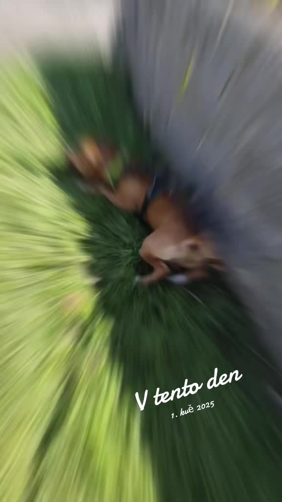 @bruneta_Se_Z&aacute;drhelem