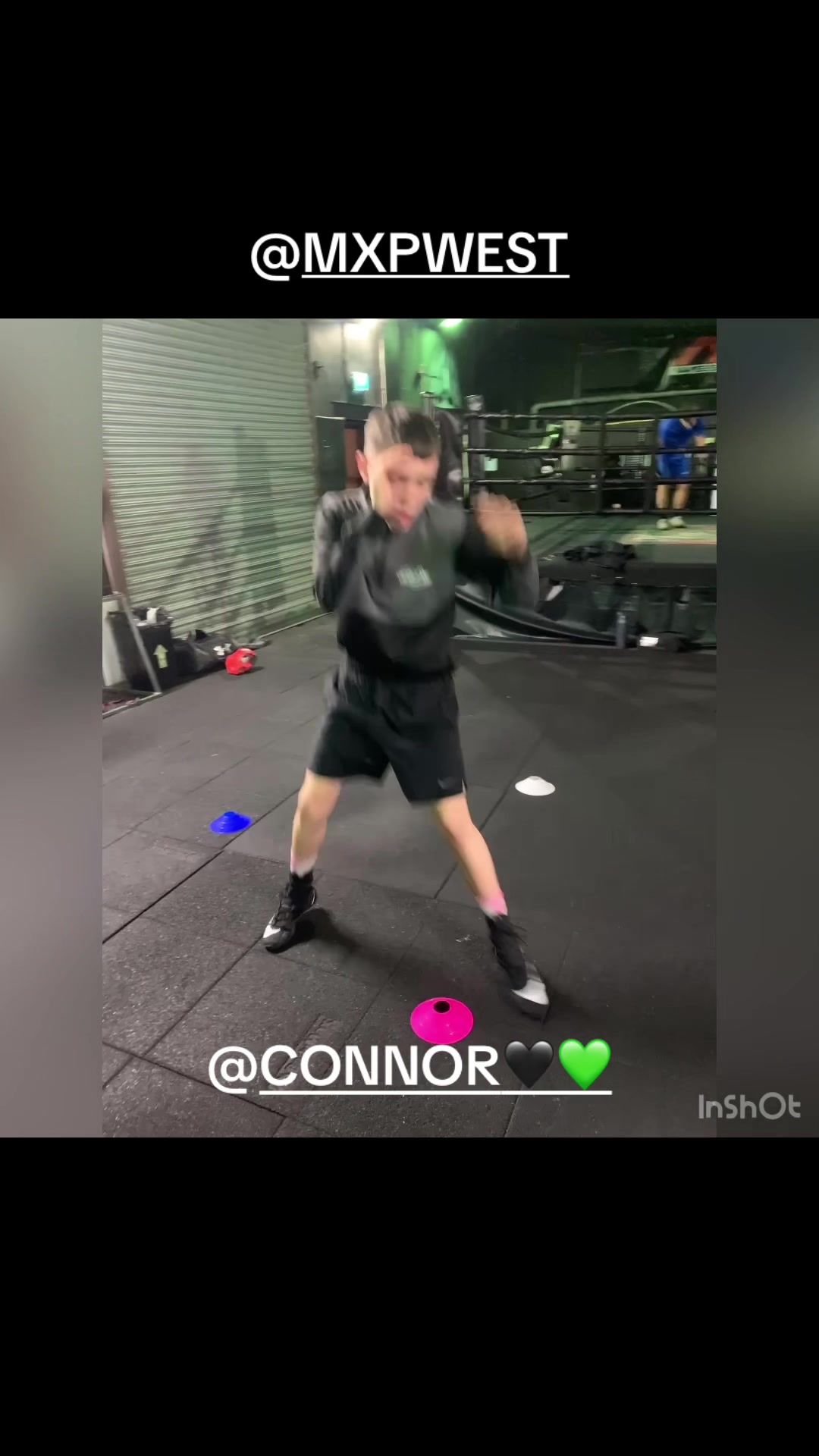 @Beezboxing🐝🥊🥊✨✨