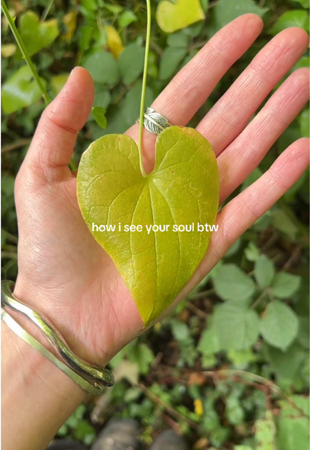 @mushroomgirrrl
