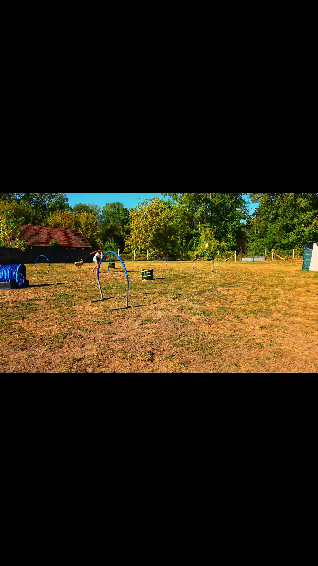@Szigeti Kutyasuli 2015