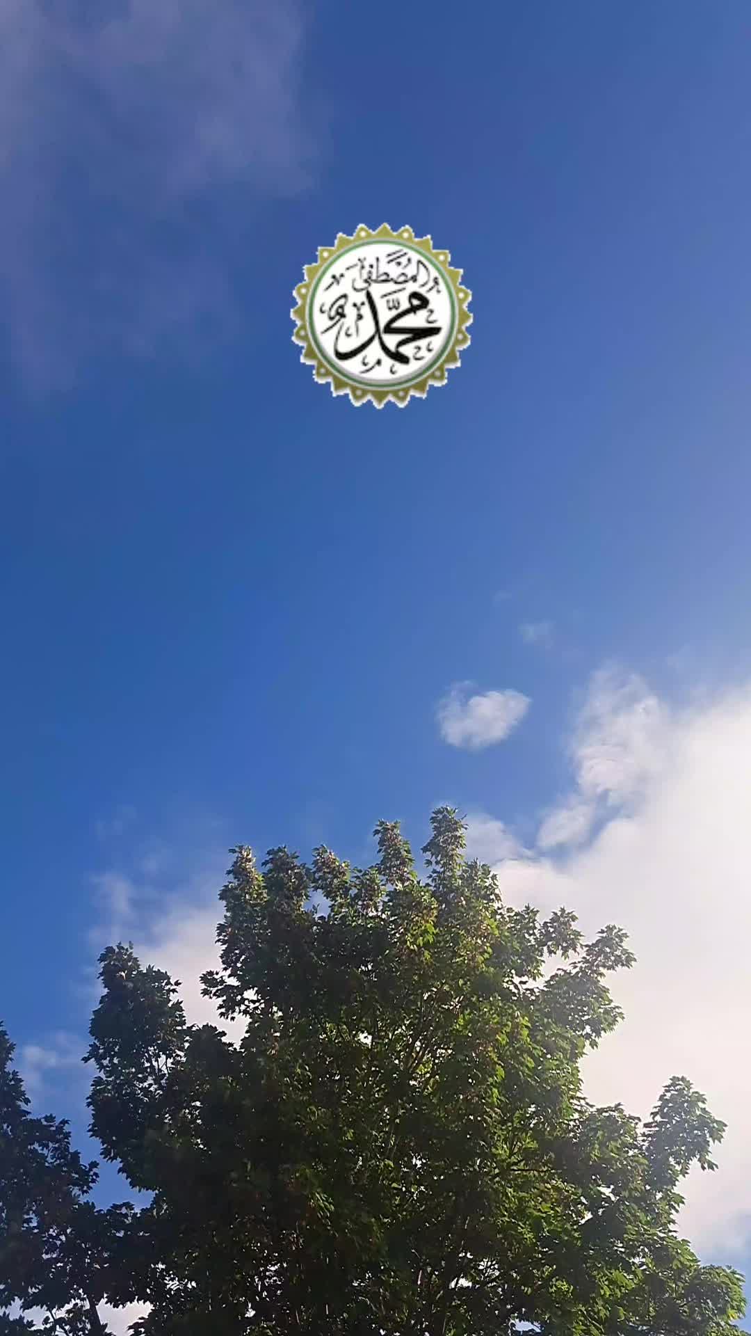 @Zarqa Imran Official