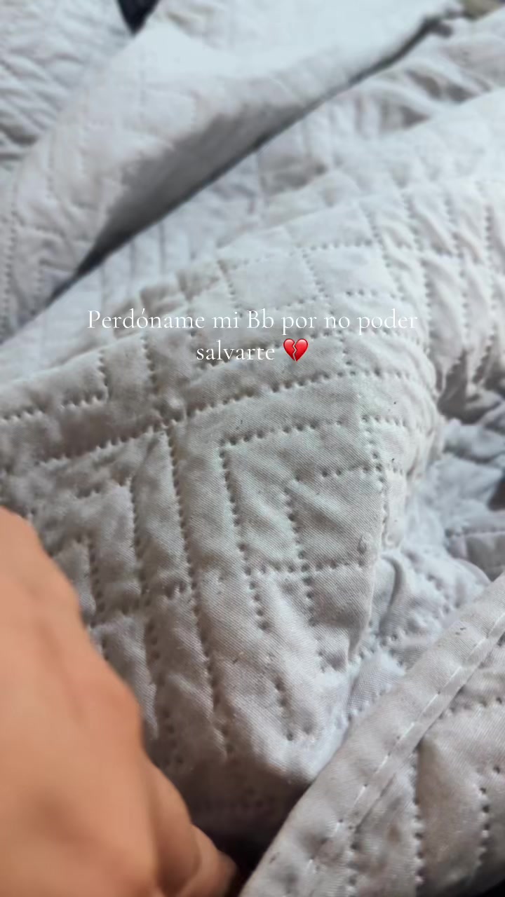 @Daniela Paz