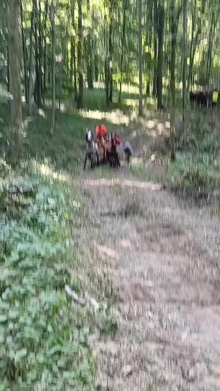 @regele nr 1