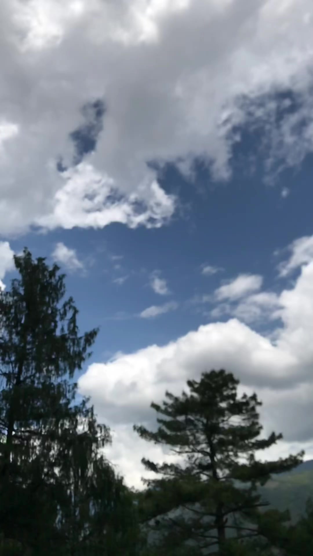 @༄𝒮𝑒𝓁𝒹𝑜𝓃༄