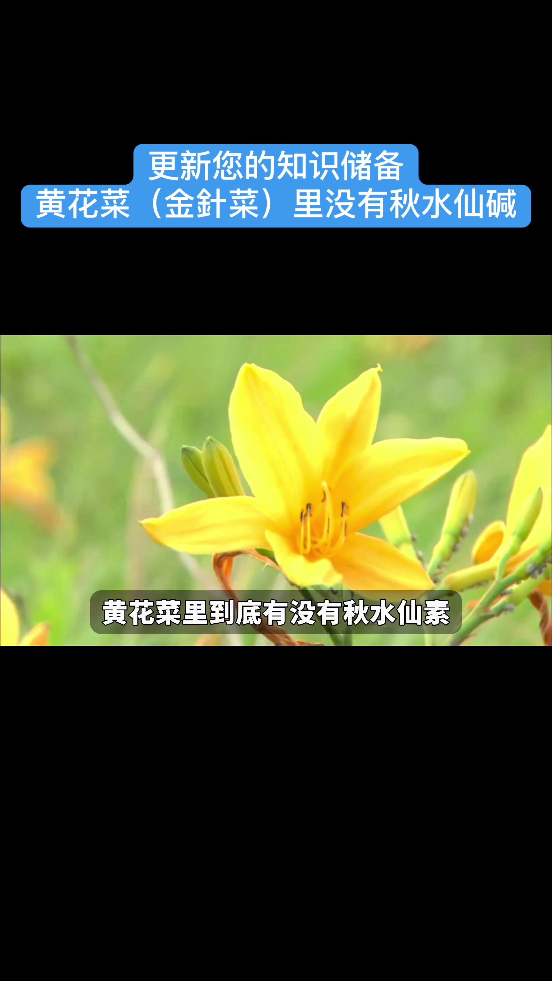 @gonghonglei