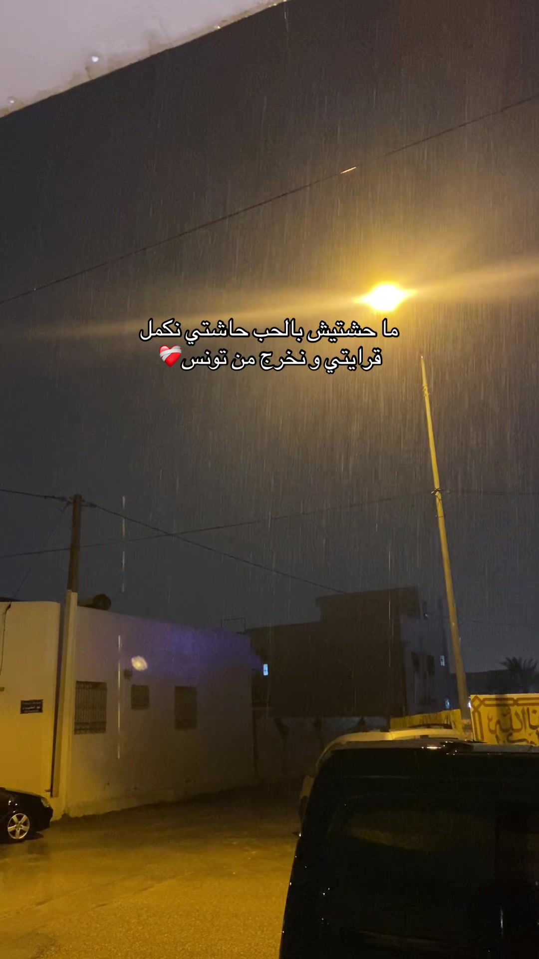 @ميساء فرحات🐆