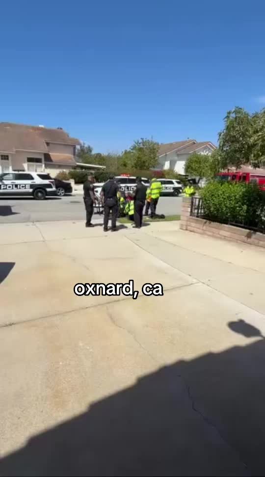 @media.gts