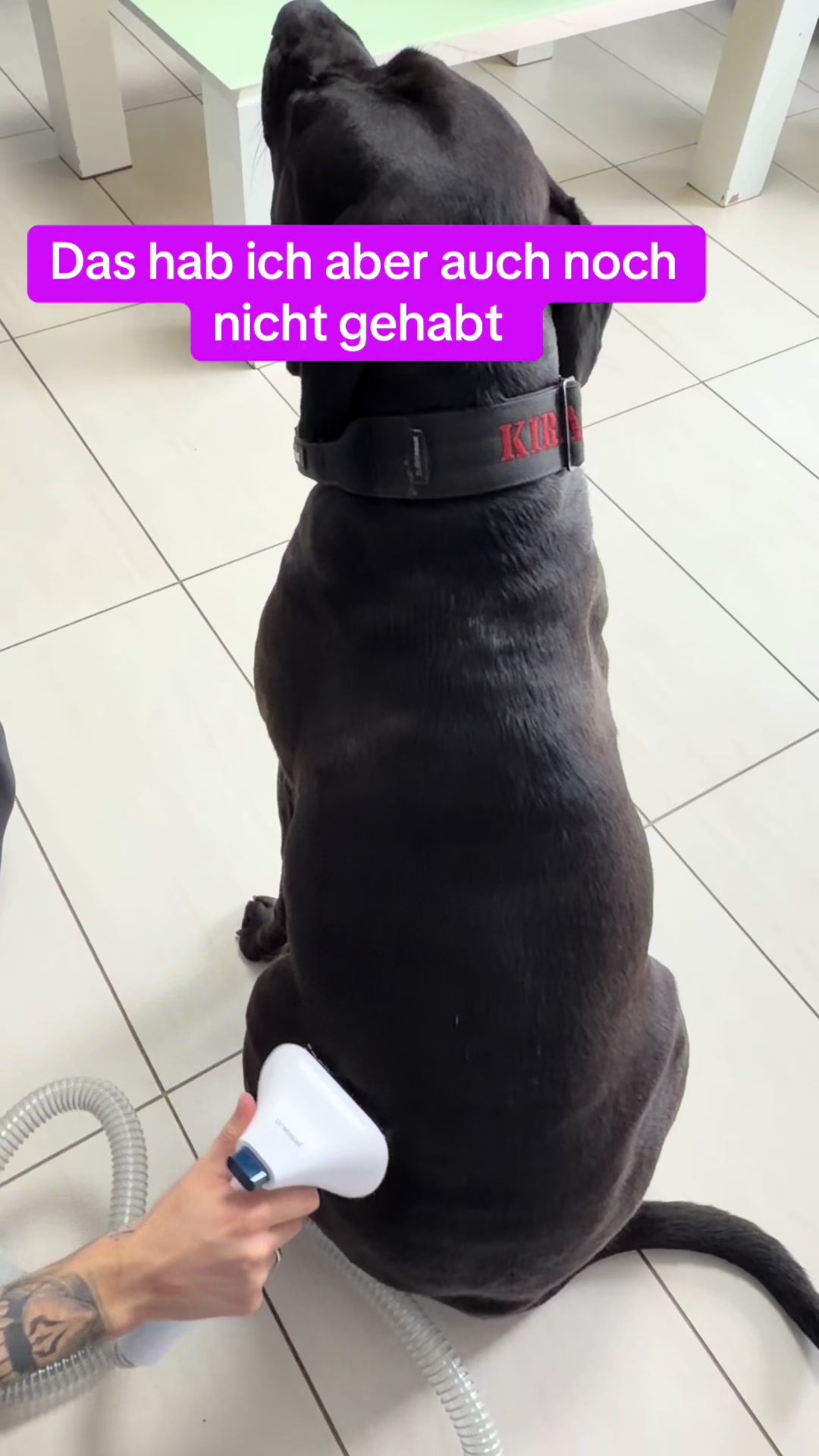 @Braunici