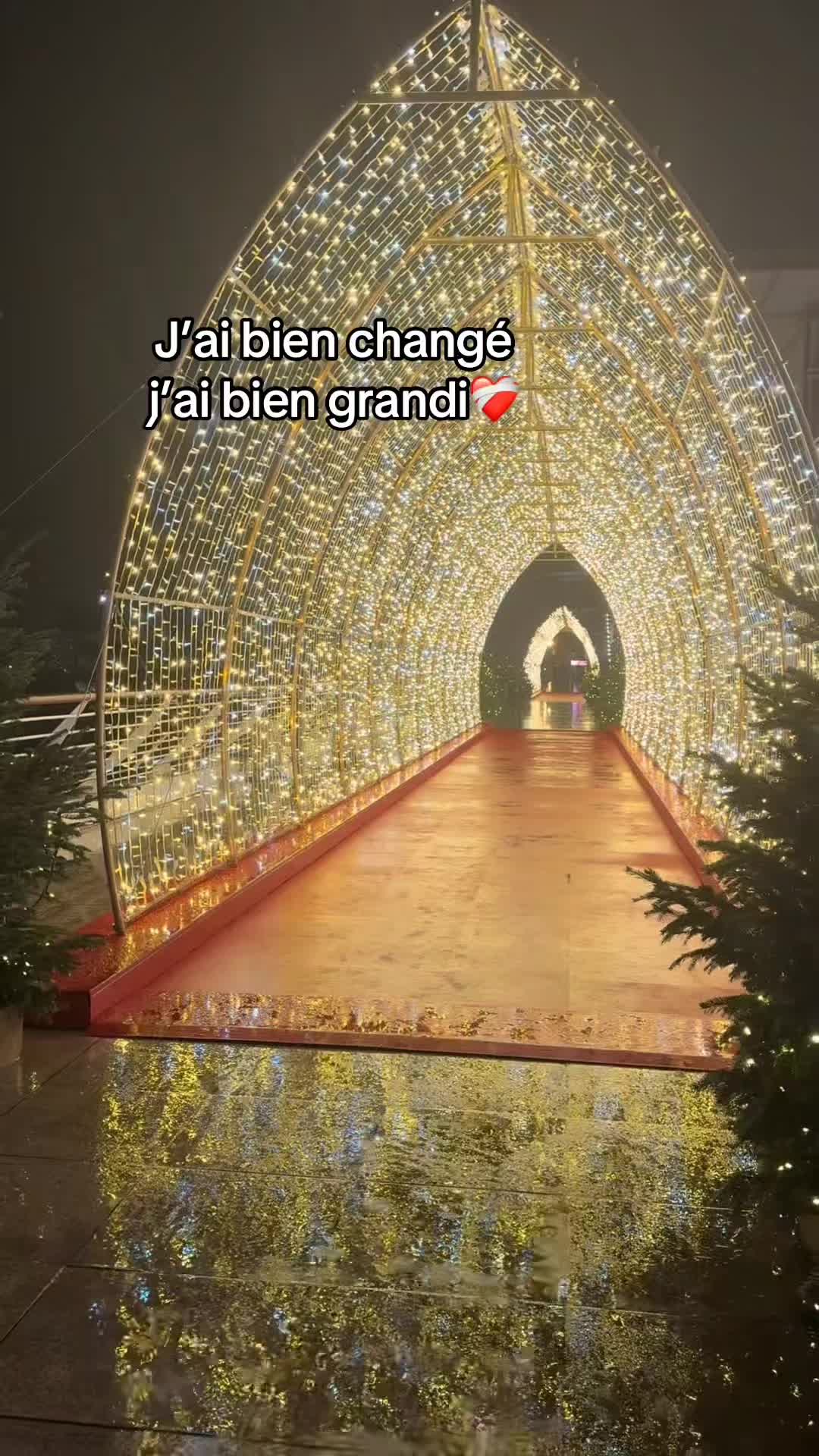 @rezaoui