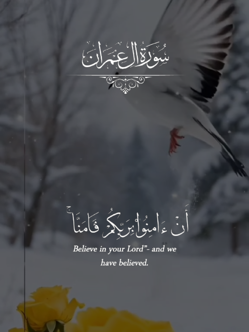@سوتیلے
