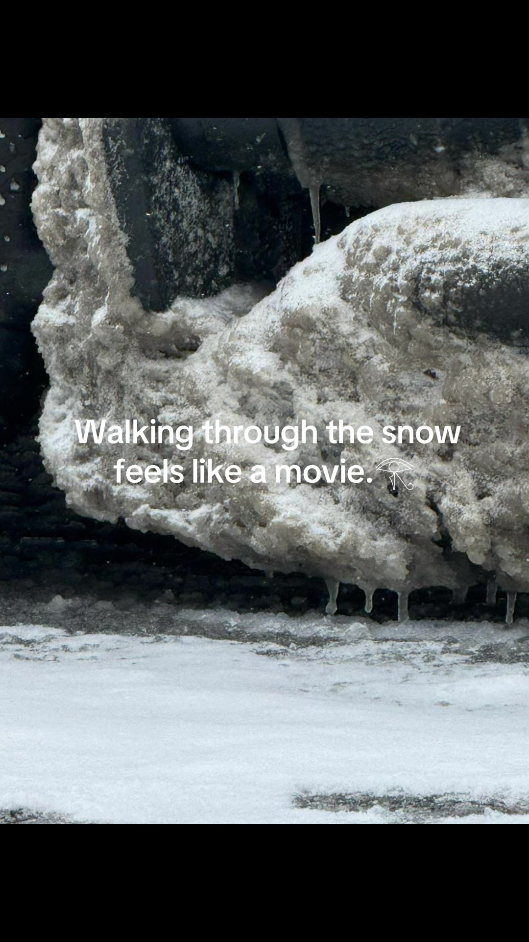 @Zaya W