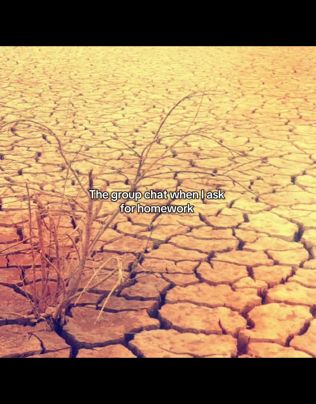 @𝐌'🪷