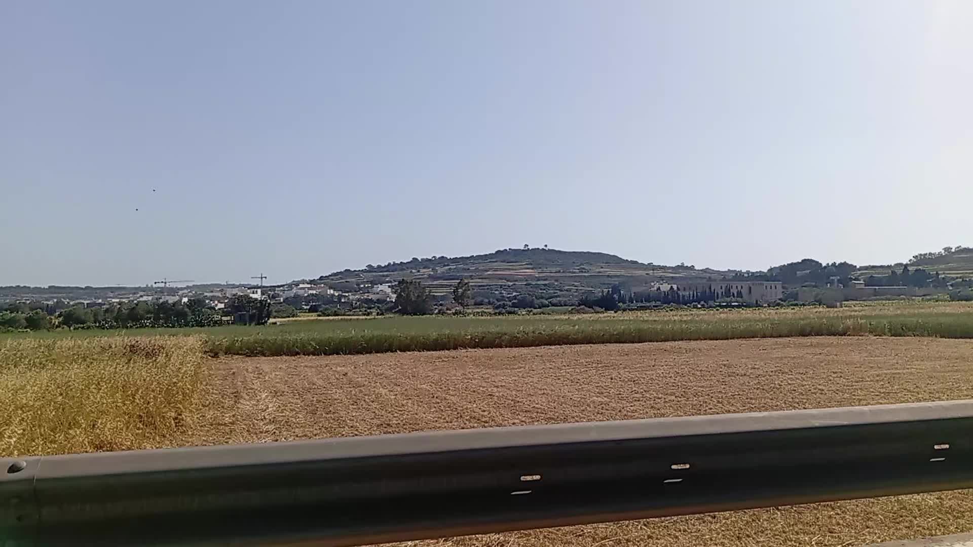 @wild Malta