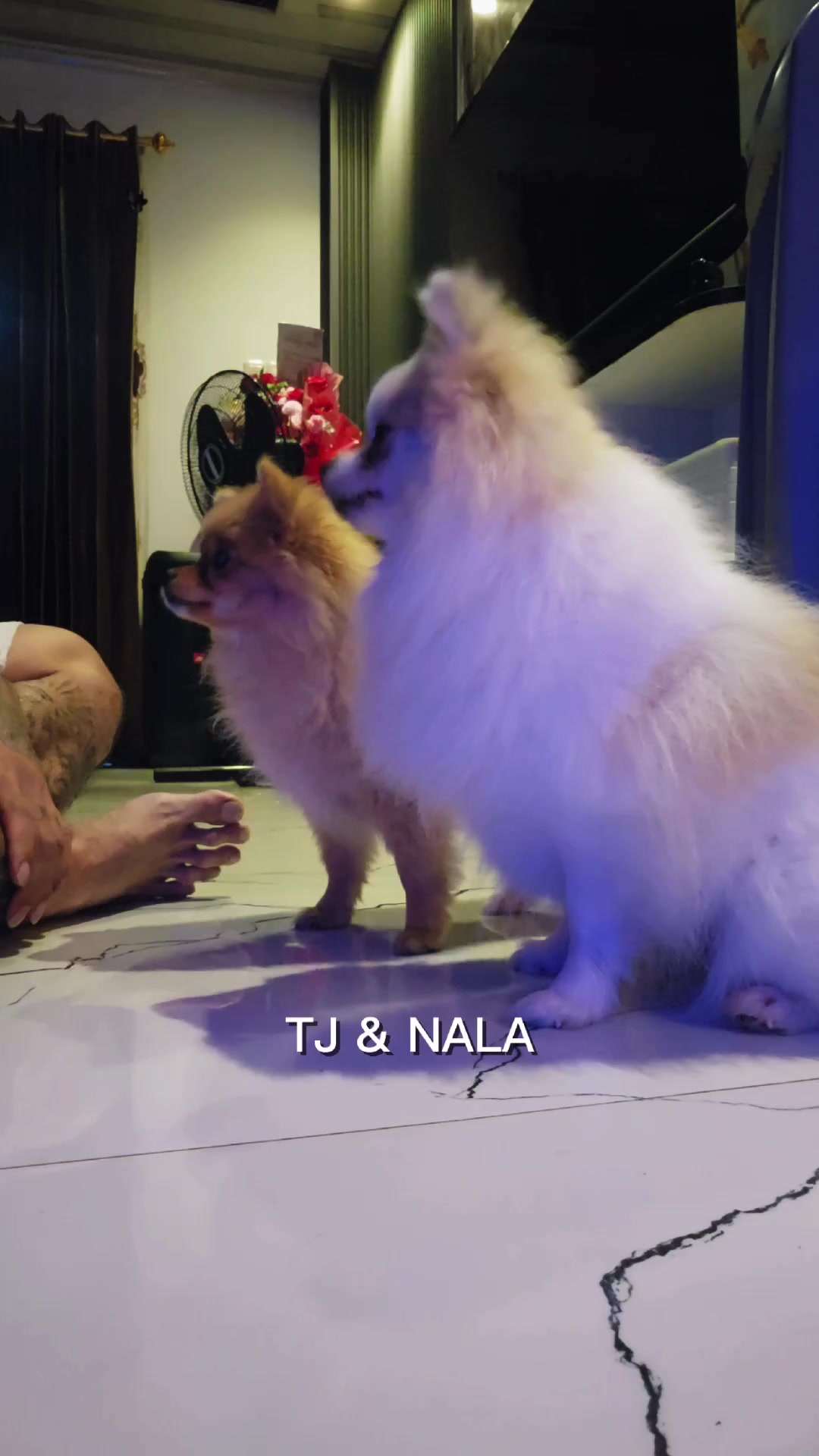 @TJ