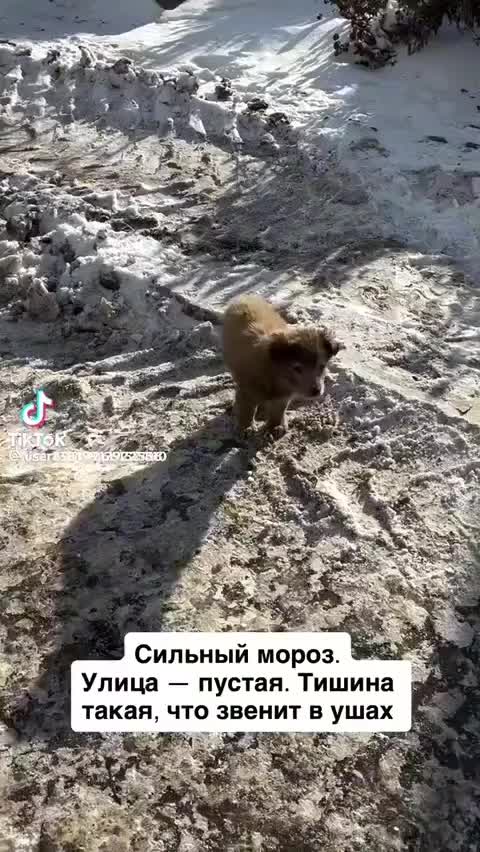 @Laimdota Spakovska
