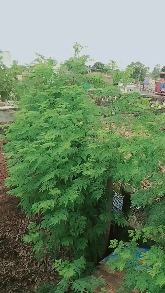@kajal_❤️_Rakesh