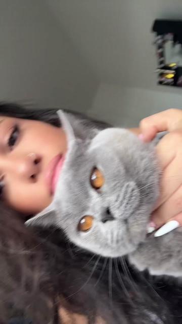 @ad.ja