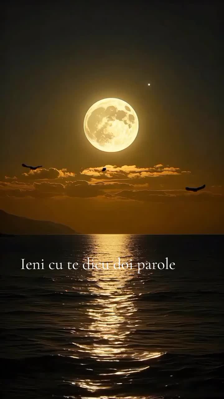 @Marco84