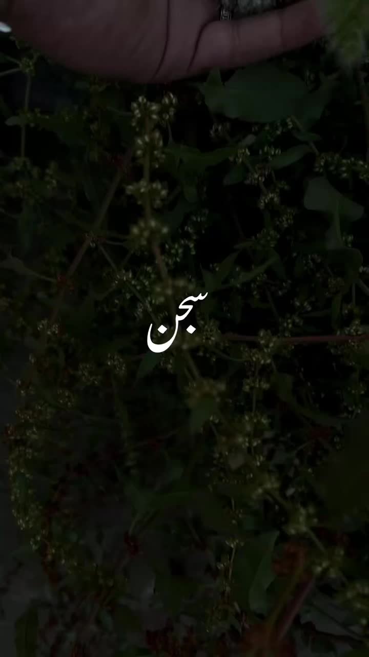 @mohsin_sticxs