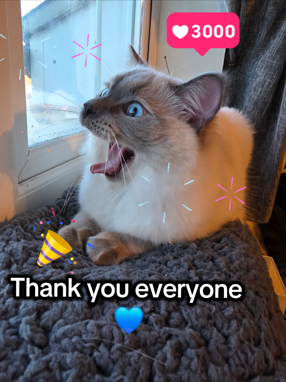 @DailyDoseOfBlu💙