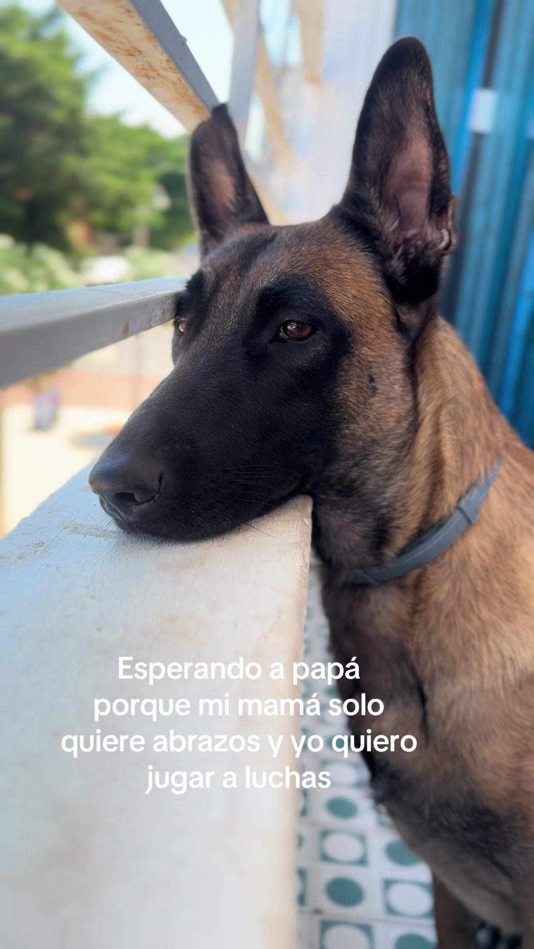 @Lobalobita