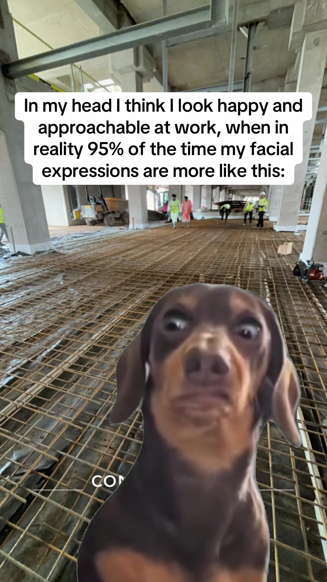 @⭐ WORK MEMES ⭐
