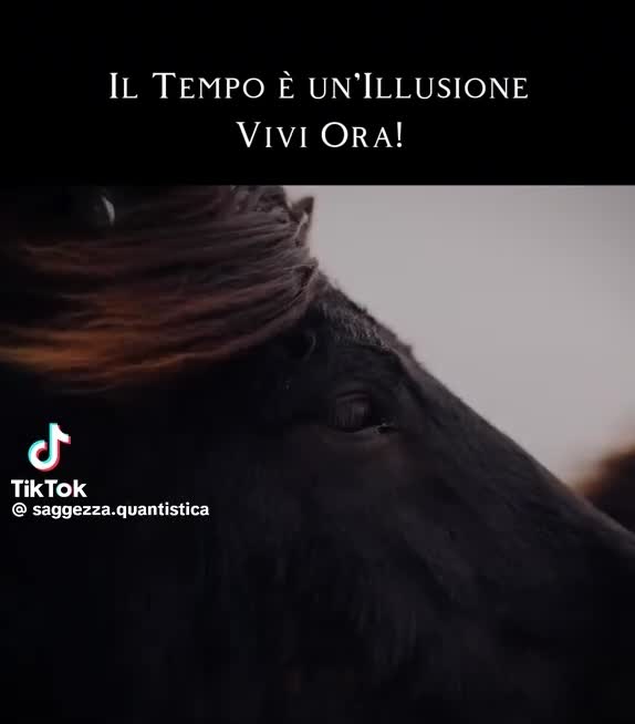 @luigi Giuliano 2