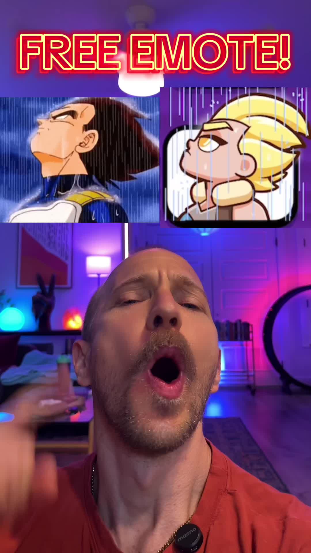 @PhoneCats