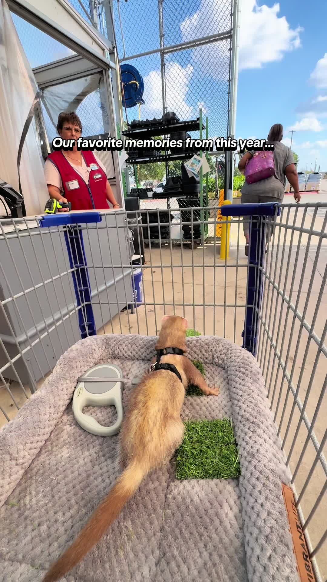 @Moon & Nala