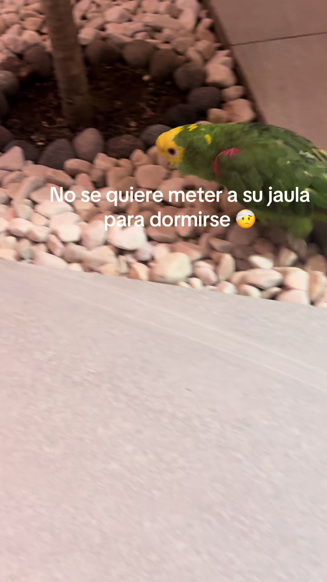 @Rozzygutierrez